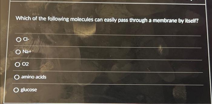 Solved Which of the following molecules can easily pass | Chegg.com