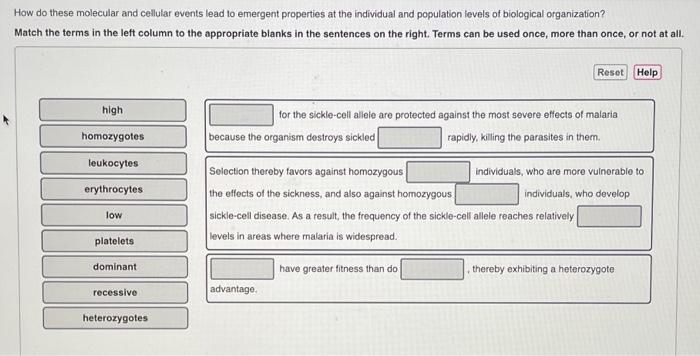 Solved How do these molecular and cellular events lead to | Chegg.com