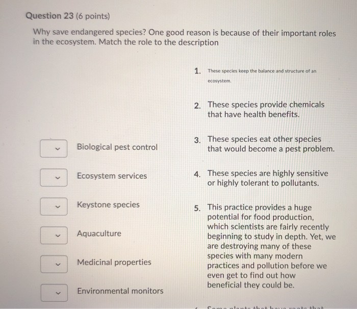 Solved Question 23 6 Points Why Save Endangered Species Chegg Com