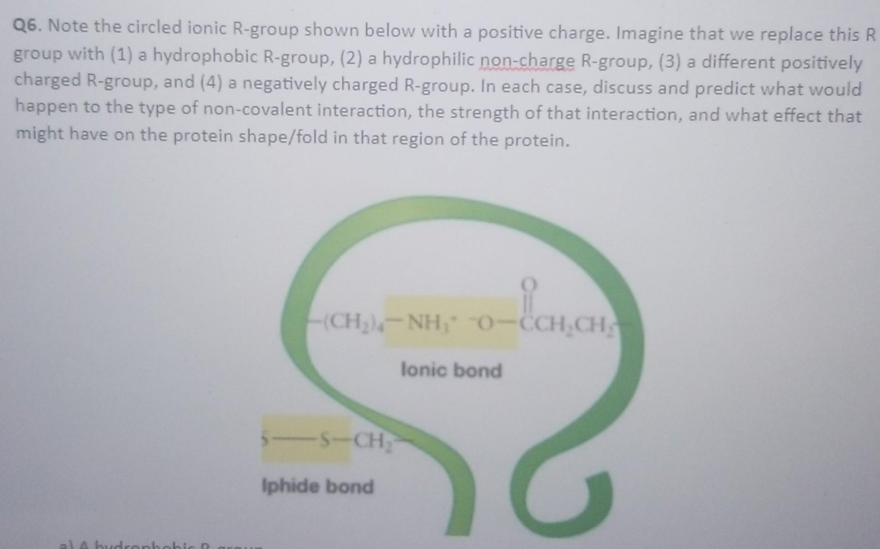 Solved Q6. Note the circled ionic R-group shown below with a | Chegg.com