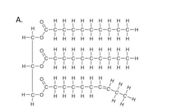 Solved 3. Use the chemical structures shown on the next page | Chegg.com