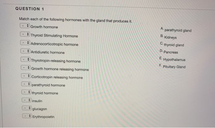 Solved QUESTION 1 Match each of the following hormones with | Chegg.com