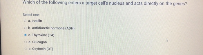 Solved Which of the following enters a target cell's nucleus | Chegg.com