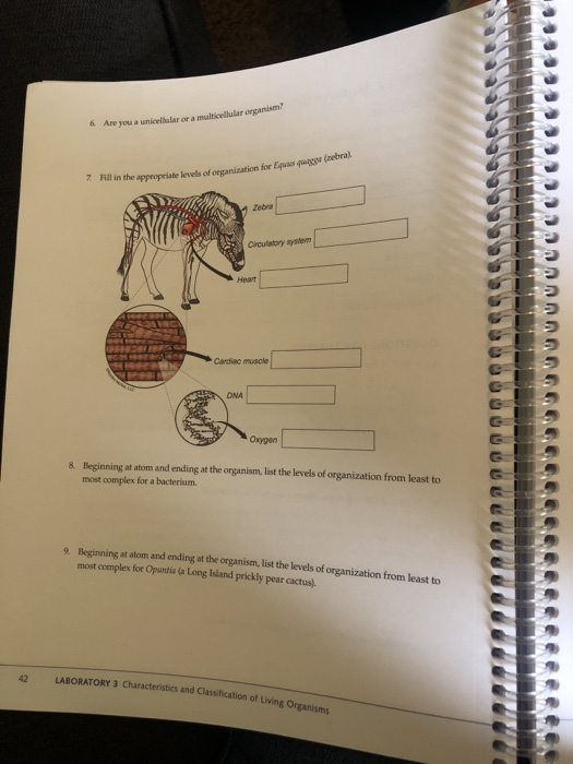 Multicellular organisms quiz image