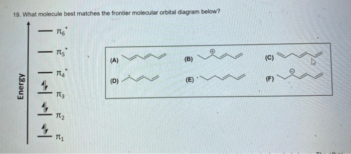 Solved 19. What molecule best matches the frontier molecular | Chegg.com