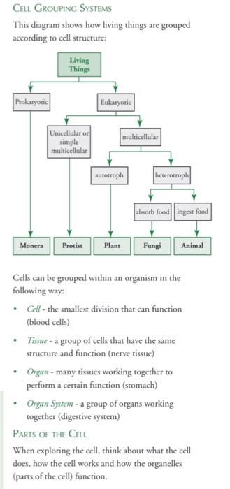 Solved WHAT CELLS Do Cells maintain a balance within an | Chegg.com