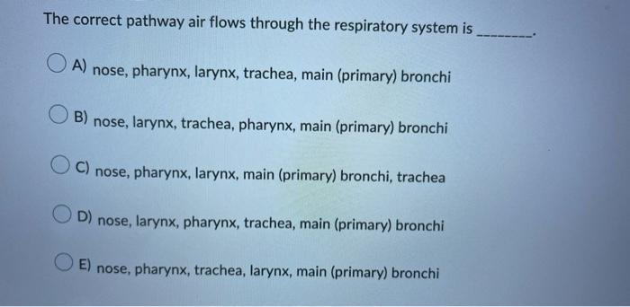 The correct pathway air flows through the respiratory system is
A) nose, pharynx, larynx, trachea, main (primary) bronchi
B) 