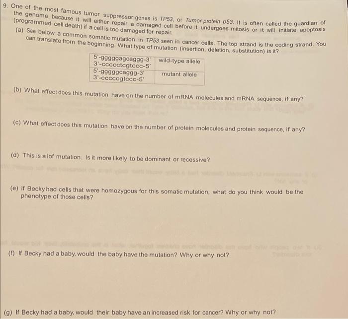 Solved 9. One of the most famous tumor suppressor genesis | Chegg.com