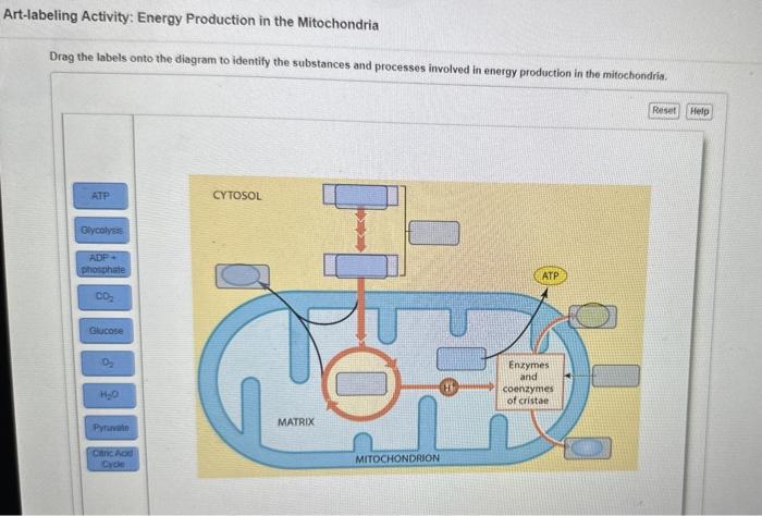 The Diagram Below Represents A Process That Occurs In Nature