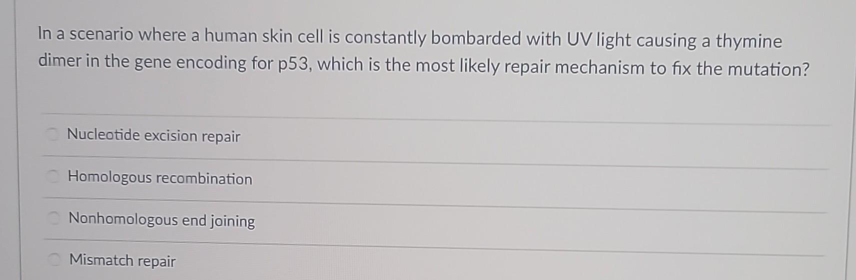 Solved Match The Description To The Correct Term. | Chegg.com