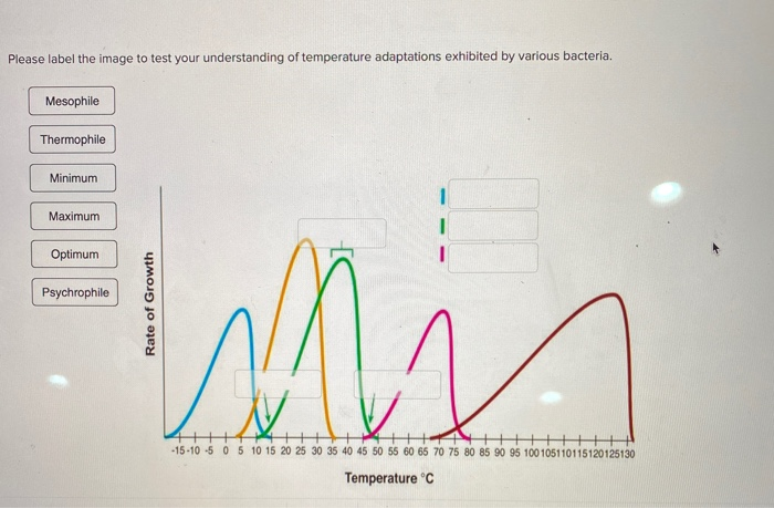 Solved Please label the image to test your understanding of | Chegg.com
