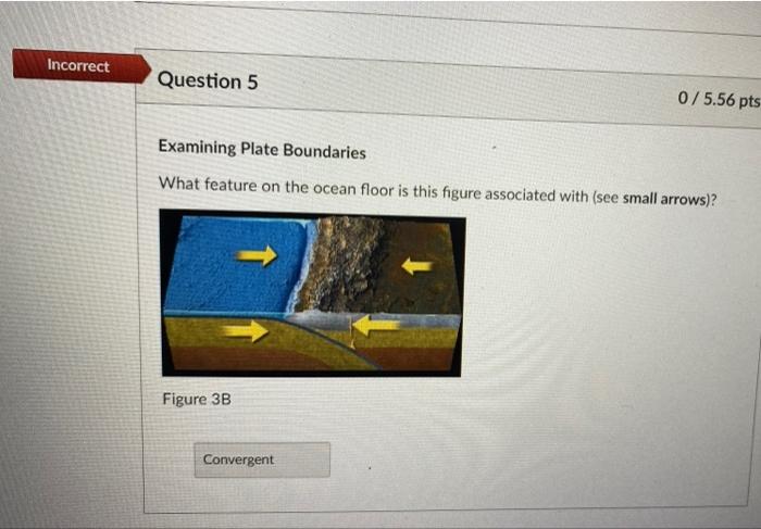 Solved Examining Plate Boundaries What feature on the ocean | Chegg.com