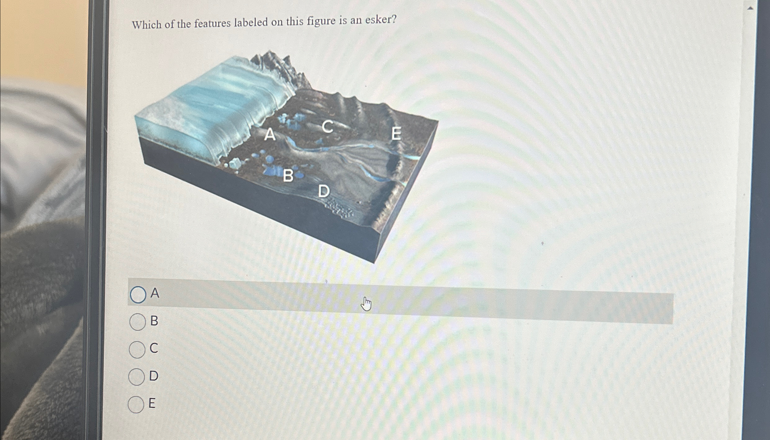 Solved Which of the features labeled on this figure is an | Chegg.com