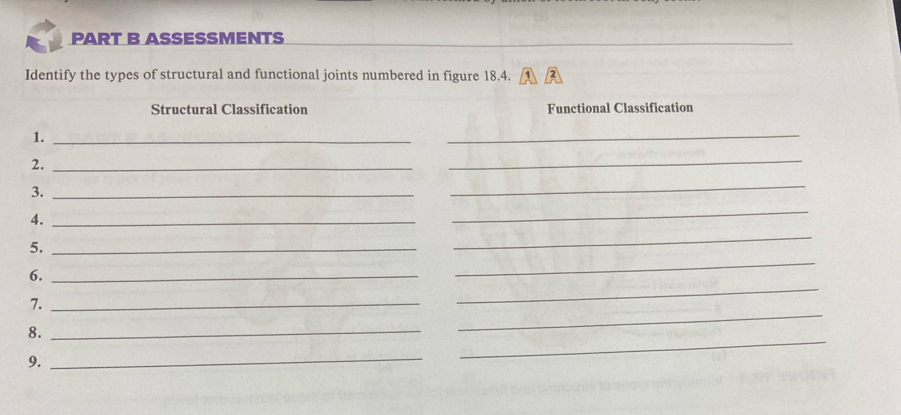 Solved PART B ASSESSMENTSIdentify the types of structural | Chegg.com