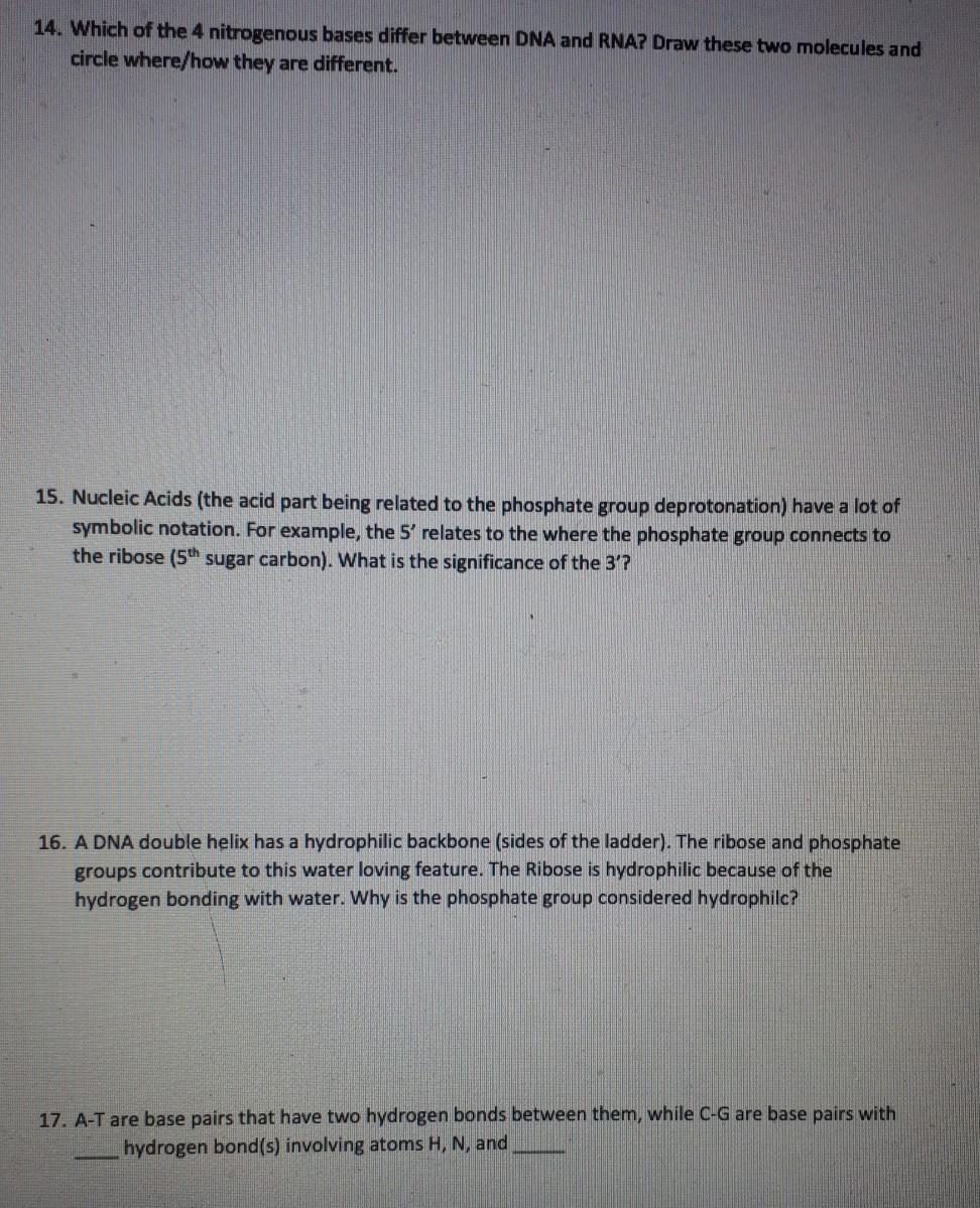 solved-14-which-of-the-4-nitrogenous-bases-differ-between-chegg