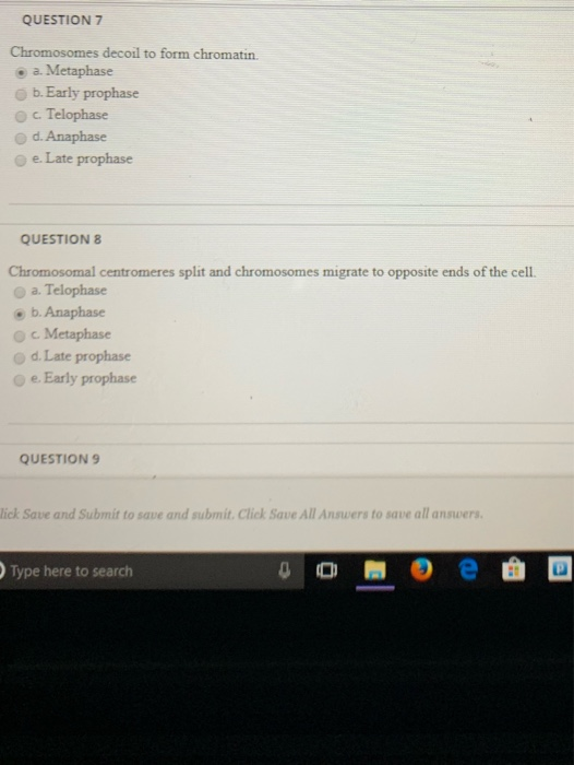 Solved completion Status QUESTIONS Found in the cytoplasm,
