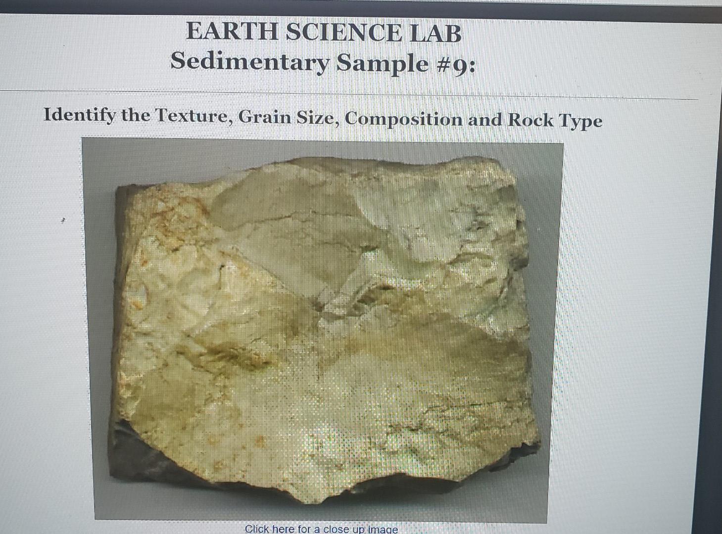 Solved EARTH SCIENCE LAB Metamorphic Sample #1: Identify The | Chegg.com