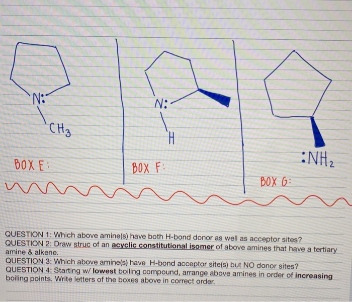 Solved N N Ch H Nh2 Box F Boxe W Box G Question Chegg Com