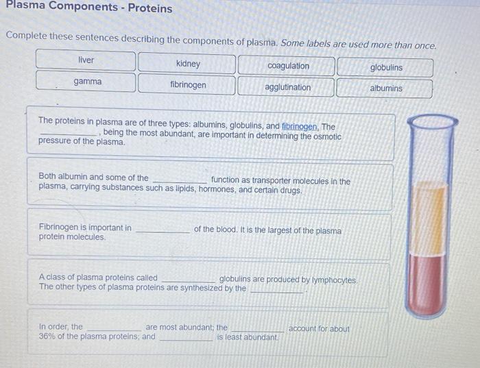 Solved Plasma Components Proteins Complete these sentences