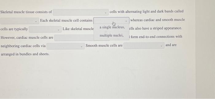 Solved Skeletal muscle tissue consists of cells with | Chegg.com