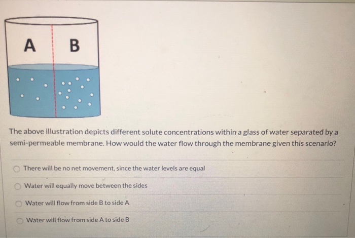 Solved The Above Illustration Depicts Different Solute | Chegg.com