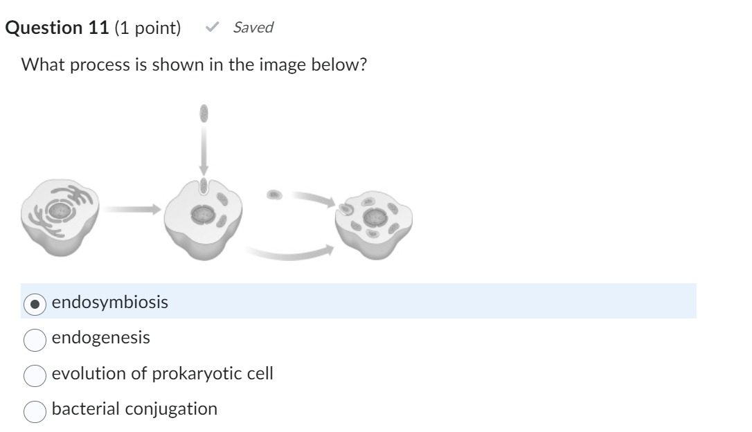 Solved What process is shown in the image | Chegg.com