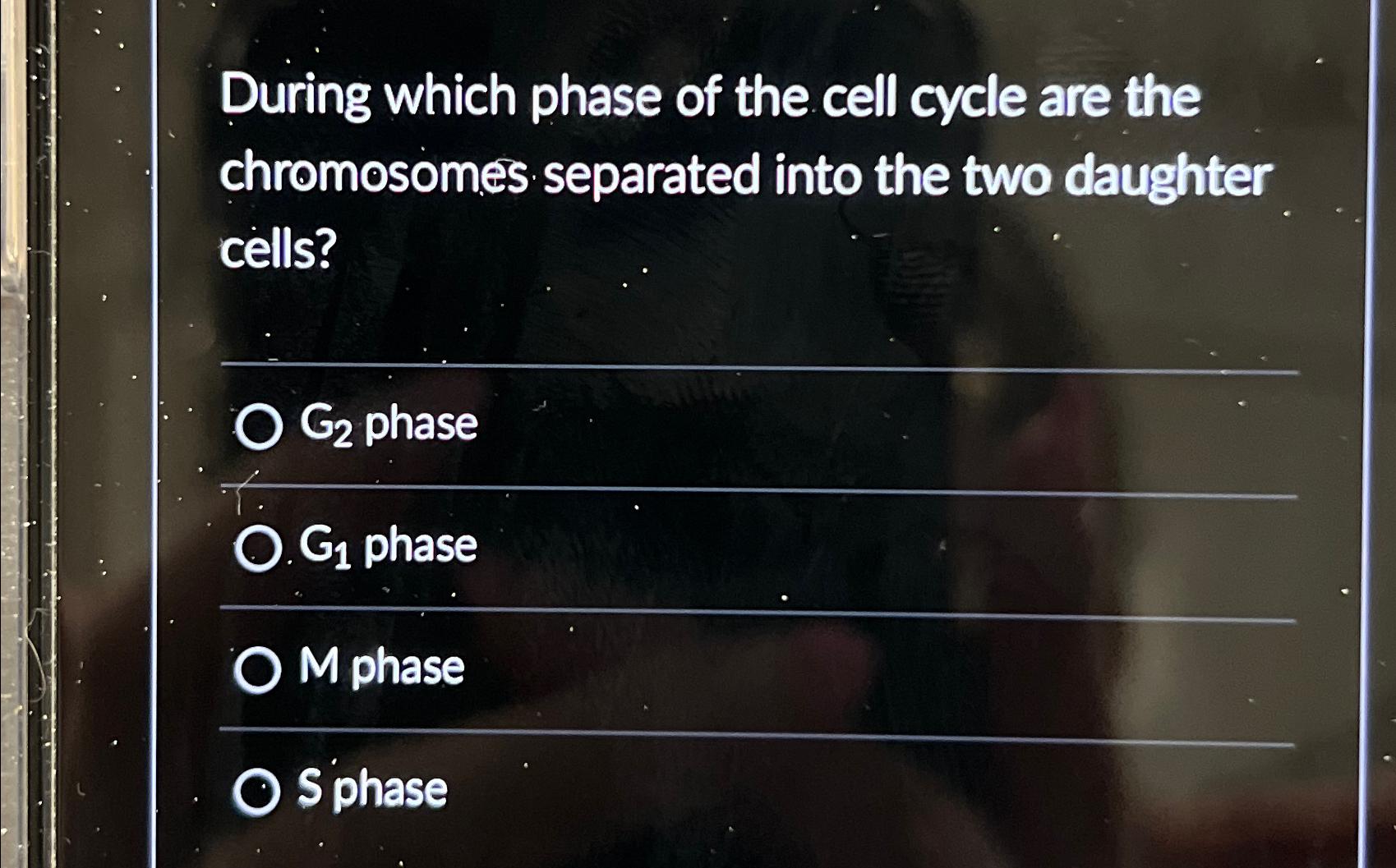 Solved During which phase of the cell cycle are the | Chegg.com