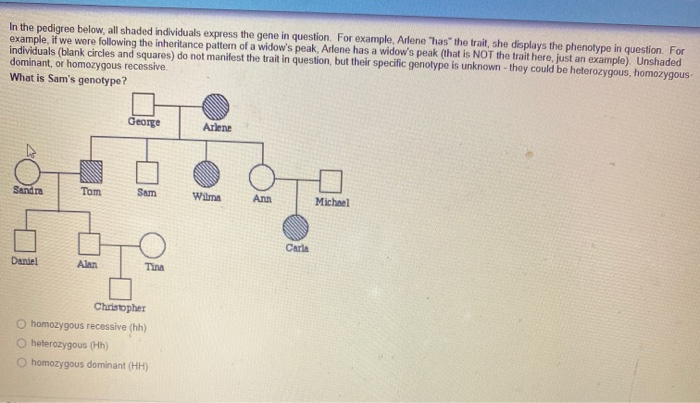 Solved In the pedigree below, all shaded individuals express | Chegg.com