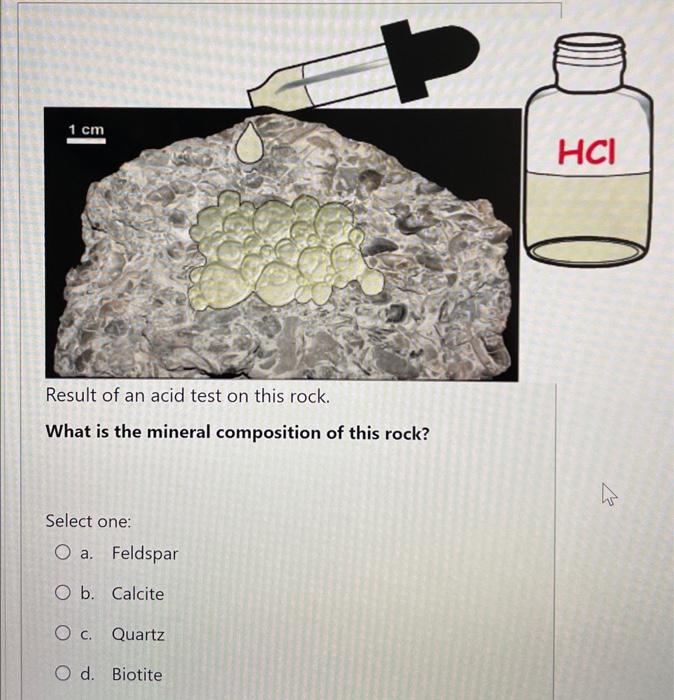 Solved Result of an acid test on this rock. What is the | Chegg.com