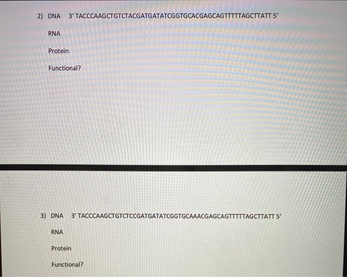 Solved Part 1 - Transcription/Translation For each of the 4 | Chegg.com