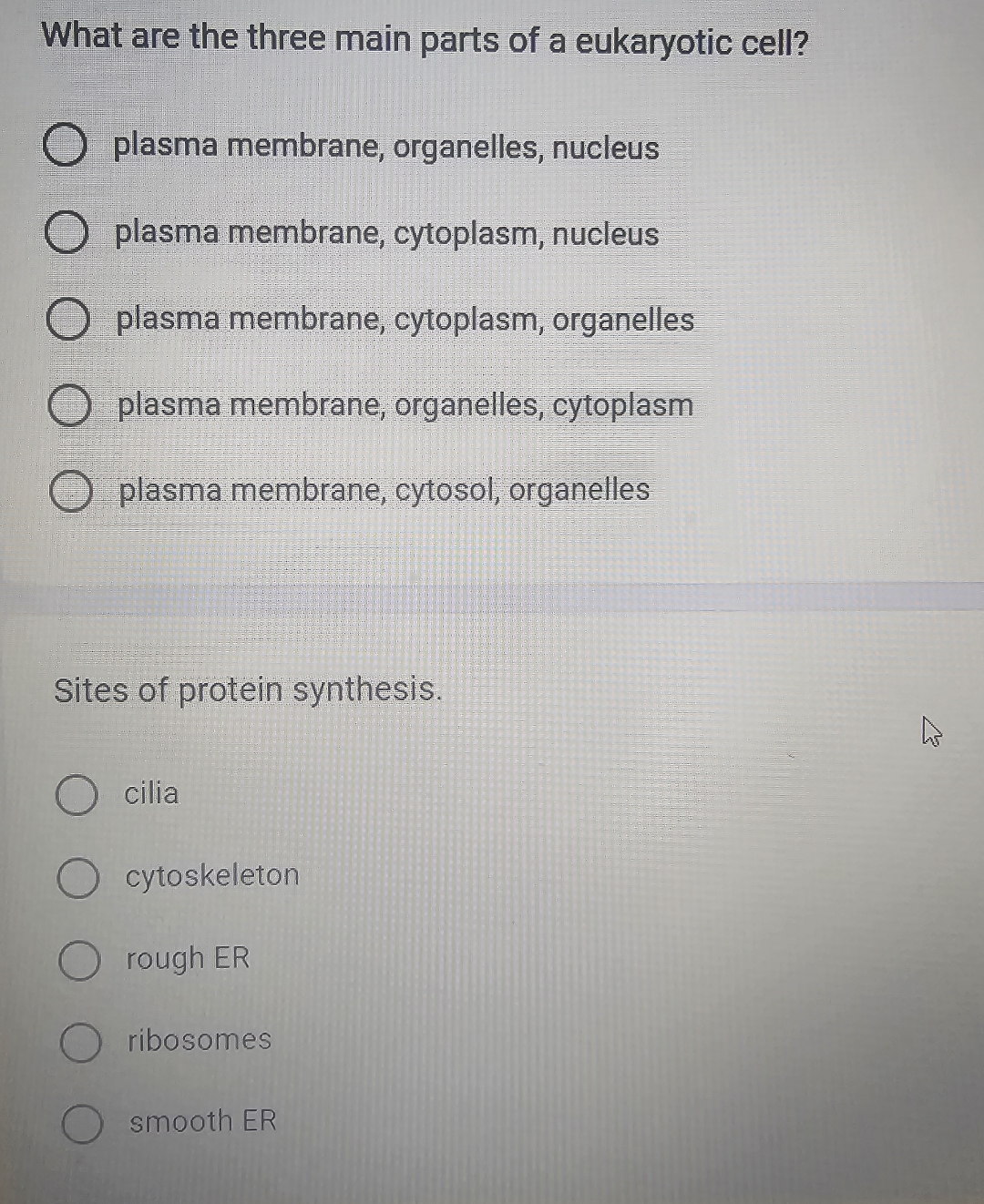 Solved What are the three main parts of a eukaryotic | Chegg.com