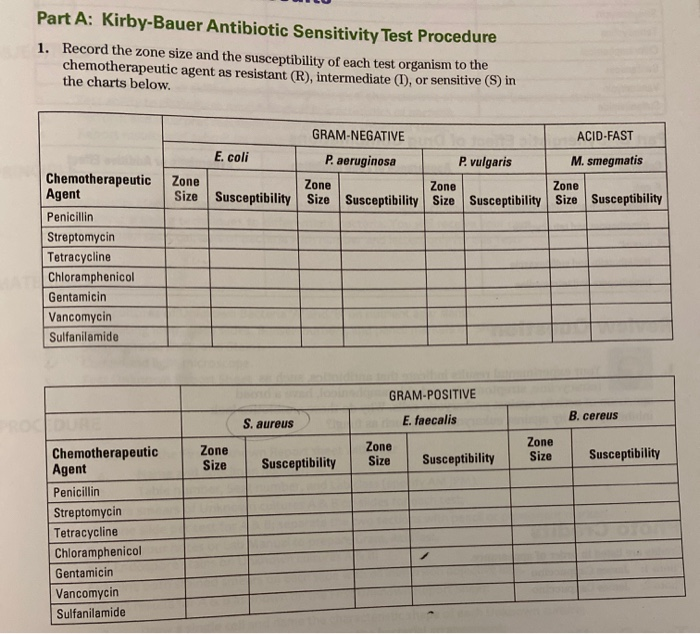 Part A: Kirby-Bauer Antibiotic Sensitivity Test | Chegg.com
