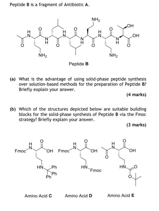 Solved Peptide B Is A Fragment Of Antibiotic A. (a) What Is | Chegg.com