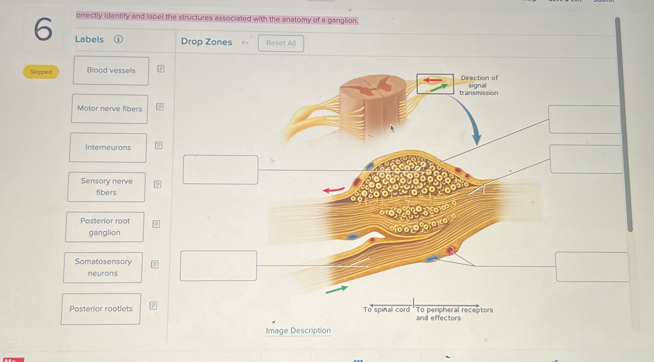 Solved 6orrectly identify and label the structures | Chegg.com
