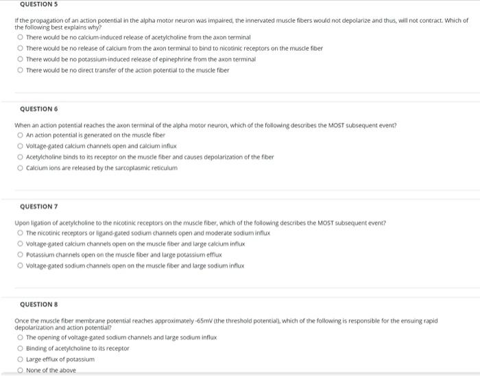 Solved QUESTIONS If the propagation of an action potential | Chegg.com