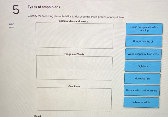 Solved Types of amphibians Classify the following | Chegg.com