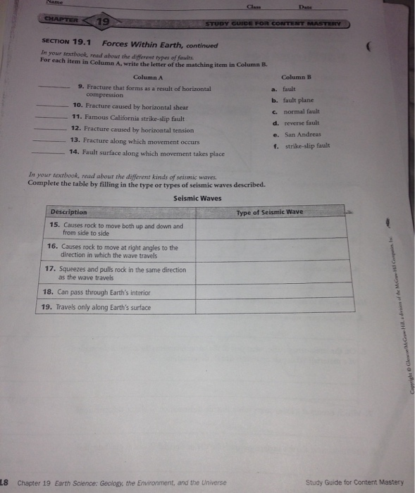 Solved CHAPTER 19 STUDY GUIDE FOR CONTENT MASTERY Chegg Solved CHAPTER 19 STUDY GUIDE FOR CONTENT MASTERY Chegg