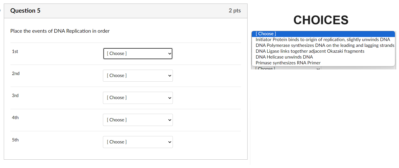 Solved Question 5Place the events of DNA Replication in | Chegg.com 