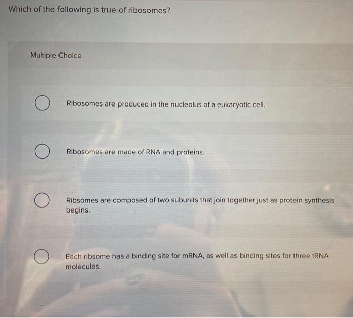 solved-which-of-the-following-is-true-of-ribosomes-multiple-chegg