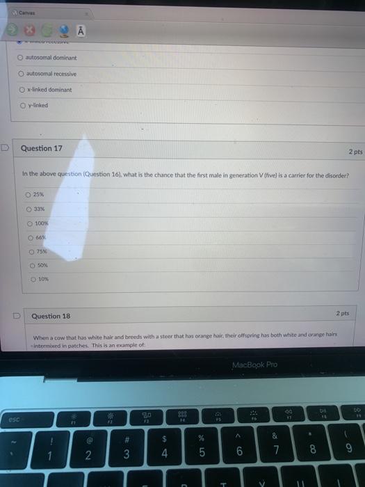 Solved Question 17 2 pts In the above question (Question | Chegg.com