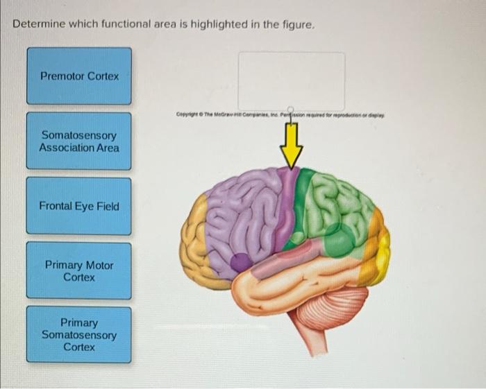 Solved Determine which functional area is highlighted in the | Chegg.com