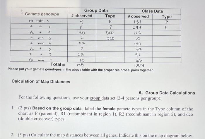 Please put your gamete genotypes in the above table | Chegg.com