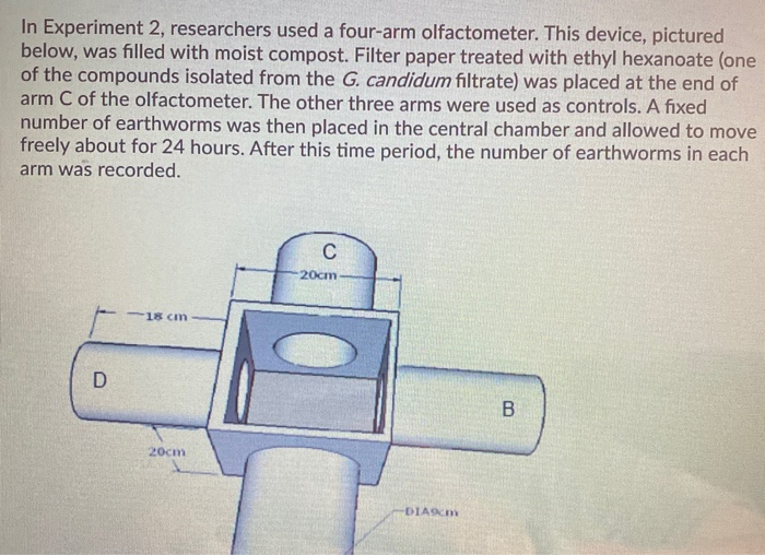 two types variables in an experiment