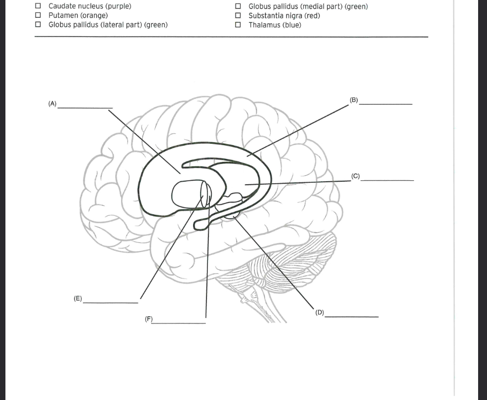 student submitted image, transcription available below