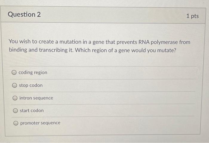 Solved You wish to create a mutation in a gene that prevents | Chegg.com