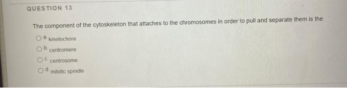 Solved QUESTION 13 The component of the cytoskeleton that | Chegg.com