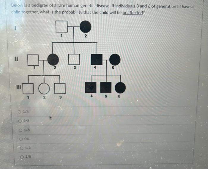 Below is a pedigree of a rare human genetic disease. | Chegg.com