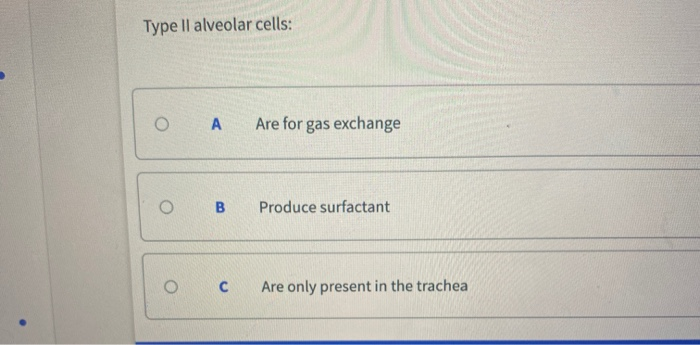 Solved Type II alveolar cells: O А Are for gas exchange o B | Chegg.com