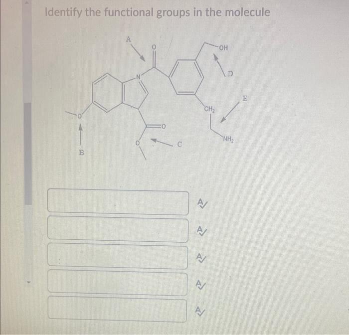 Solved Identify the functional groups in the molecule | Chegg.com