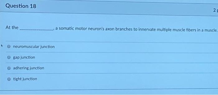 Solved Question 18 2 At the a somatic motor neuron's axon | Chegg.com